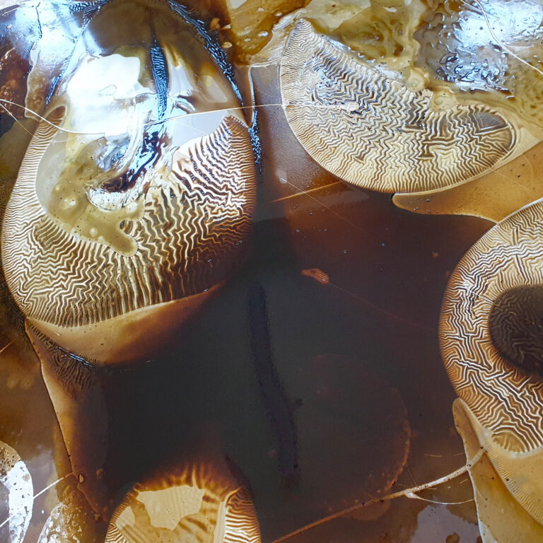 Summer 2023 mixed media n canvas 2 x 2,5 metres