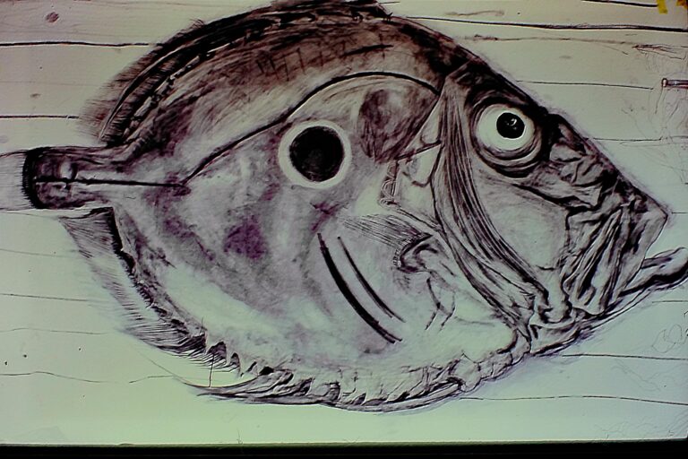 Giant Fish at the Winter Gardens Museum