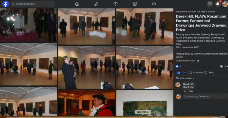 FLAW: The New Work. A solo exhibition at SHP 2011