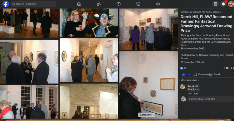 FLAW: The New Work. A solo exhibition at SHP 2011