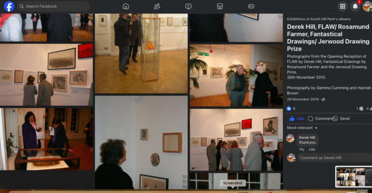 FLAW: The New Work. A solo exhibition at SHP 2011