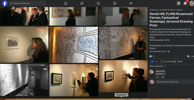 FLAW: The New Work. A solo exhibition at SHP 2011