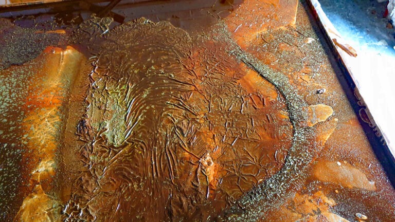 Shifts in Time: Autumn 2025. Installation view.