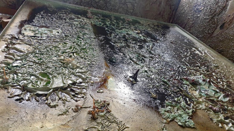 Shifts in Time: Winter 2025. January 2026 paintings. Installation view 