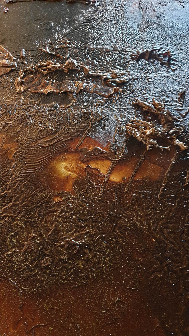 Shifts in Time: Winter 2025. December paintings. Installation view.