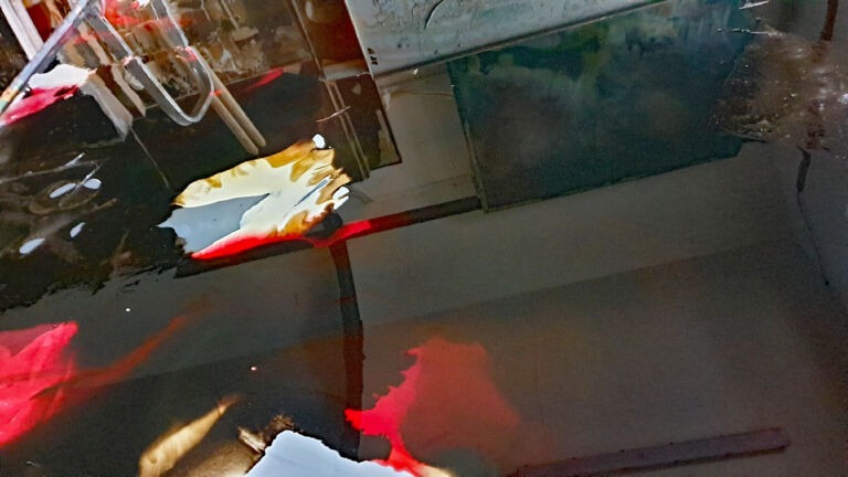 Spring 2026: Installation view. Mixed media on canvas. Spring 2026: Installation view. Mixed media on canvas.