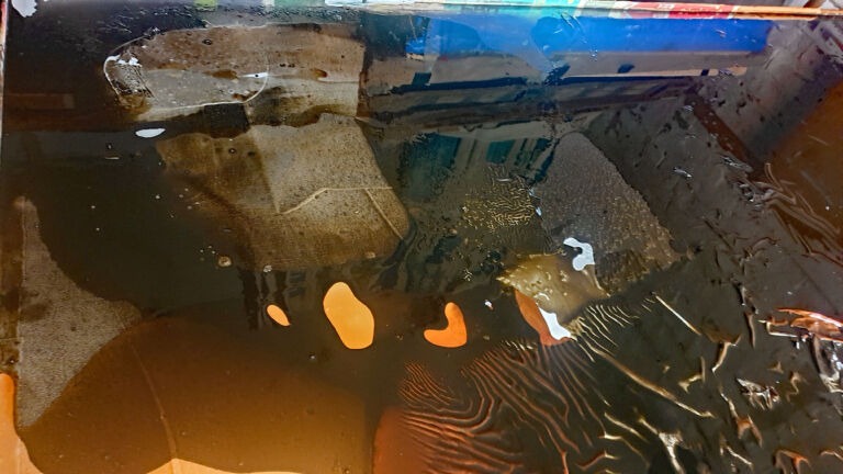 The subcategory **Shifts in Time** falls under the category **Hidden Kingdoms, Shifting Worlds**. The subcategory **Shifts in Time** falls under the category **Hidden Kingdoms, Shifting Worlds**.