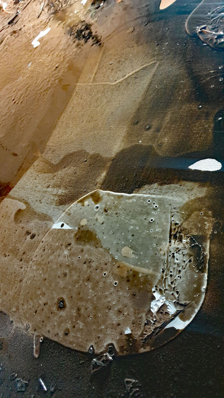 Spring 2026: Installation view. Mixed media on canvas. Spring 2026: Installation view. Mixed media on canvas.