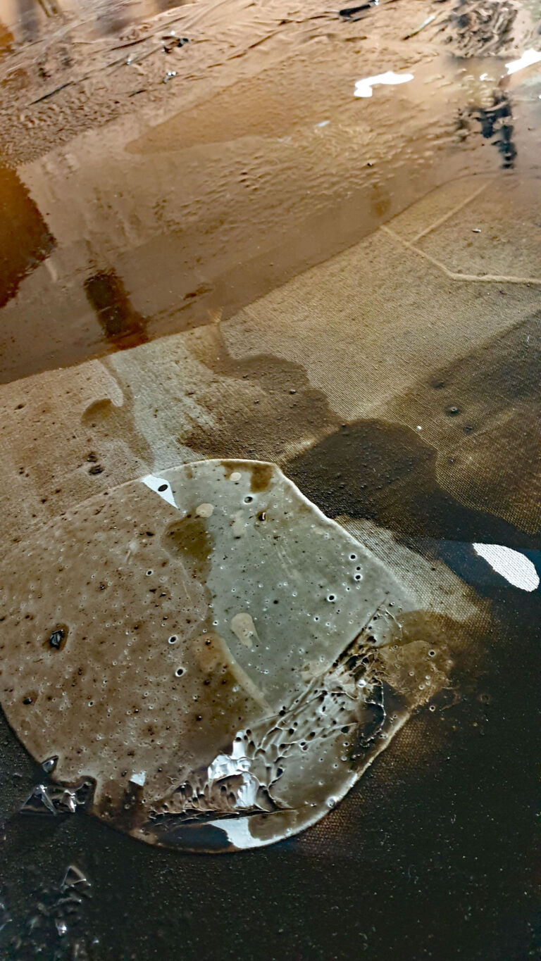 Spring 2026: Installation view. Mixed media on canvas. Spring 2026: Installation view. Mixed media on canvas.