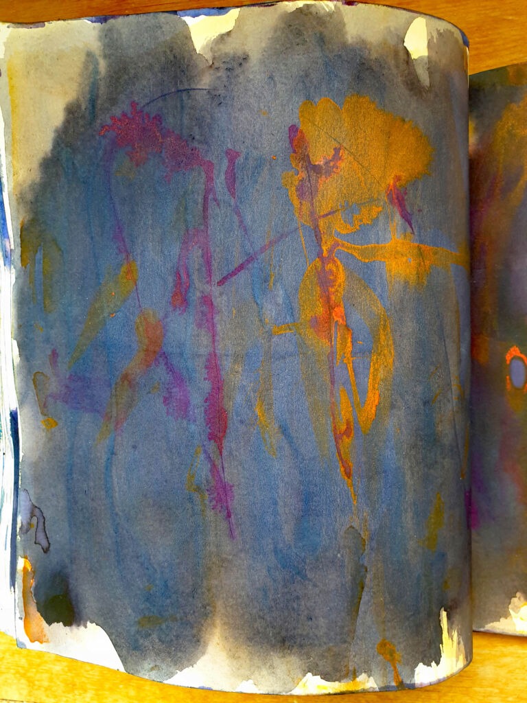 Books of ink drawings, 2018 to 2022. For the project, Hidden Kingdoms Shifting Worlds.