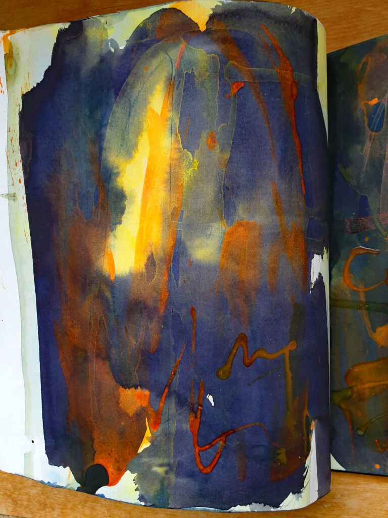 Installation view. Books of ink drawings, 2018 to 2022. For the project, Hidden Kingdoms Shifting Worlds.