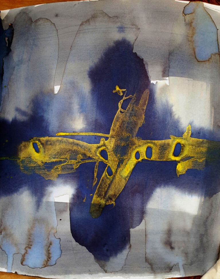 Books of ink drawings, 2018 to 2022. For the project, Hidden Kingdoms Shifting Worlds.