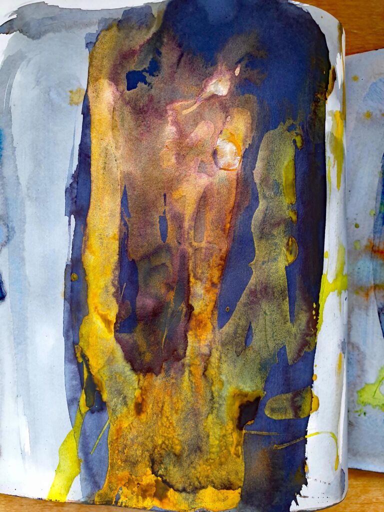 Books of ink drawings, 2018 to 2022. For the project, Hidden Kingdoms Shifting Worlds.