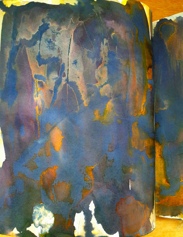 Books of ink drawings, 2018 to 2022. For the project, Hidden Kingdoms Shifting Worlds.