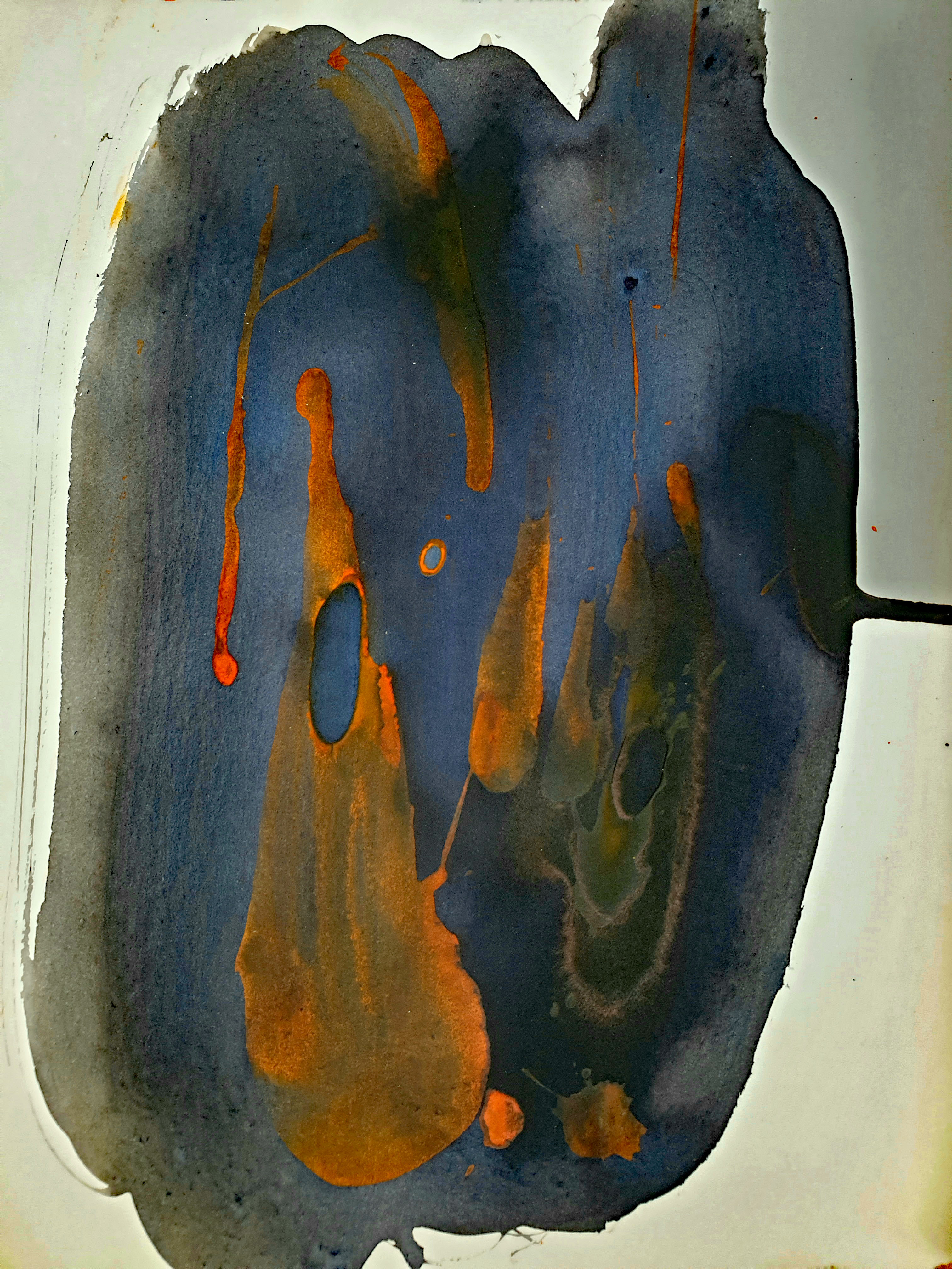 Books of ink drawings, 2018 to 2022. For the project, Hidden Kingdoms Shifting Worlds.