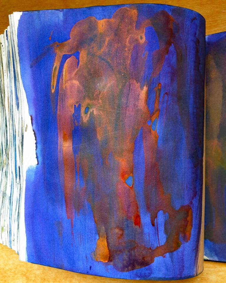 Books of ink drawings, 2018 to 2022. For the project, Hidden Kingdoms Shifting Worlds.