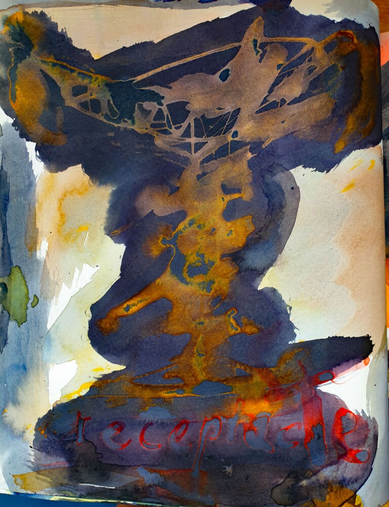 Books of ink drawings, 2018 to 2022. For the project, Hidden Kingdoms Shifting Worlds.