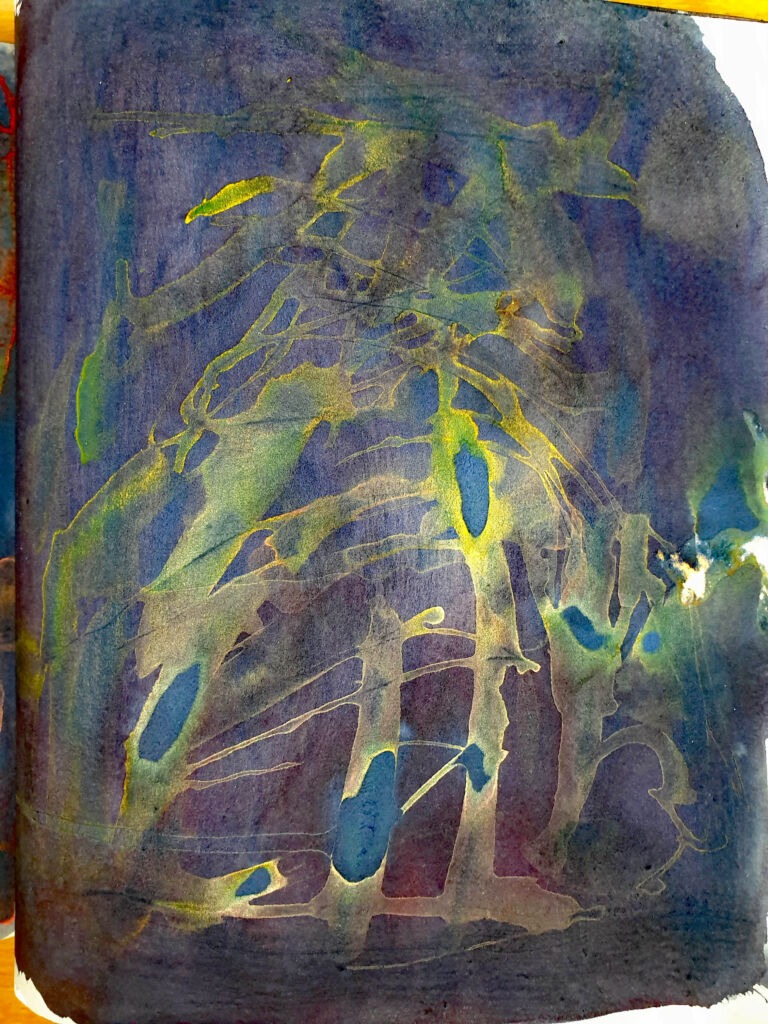 Books of ink drawings, 2018 to 2022. For the project, Hidden Kingdoms Shifting Worlds.